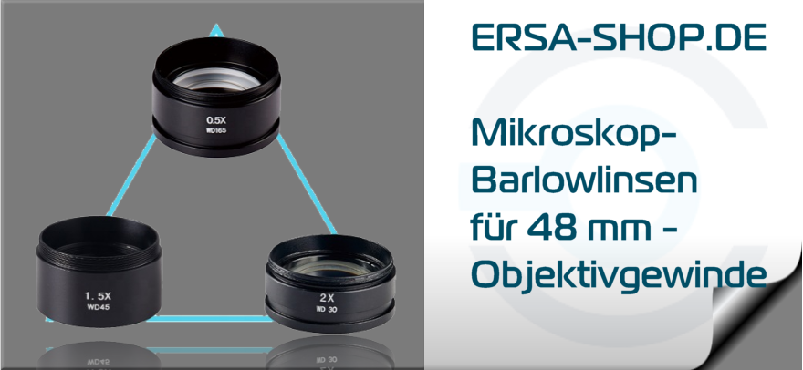 Barlowlinsen