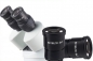 Preview: ASTISS MST545